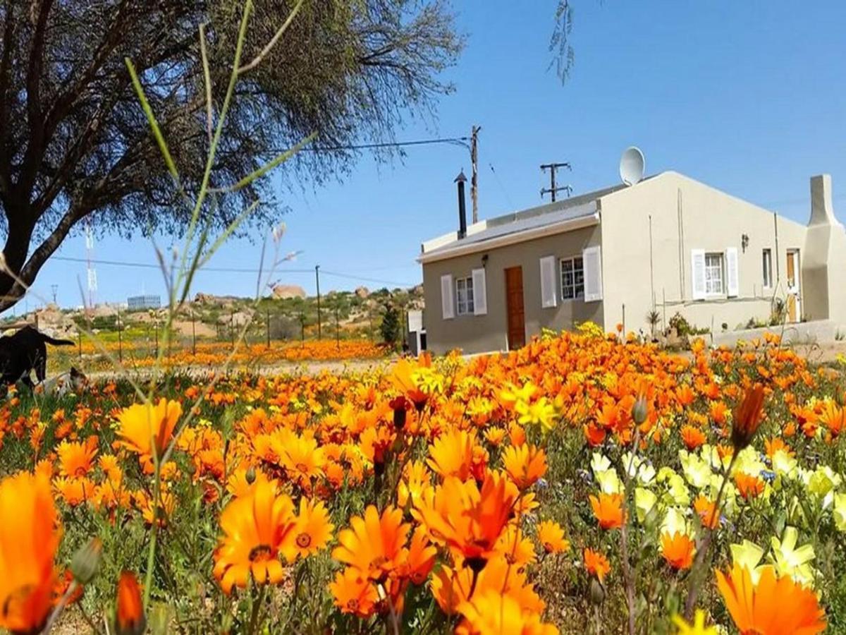 Kamieskroon Cosy Cottage 外观 照片